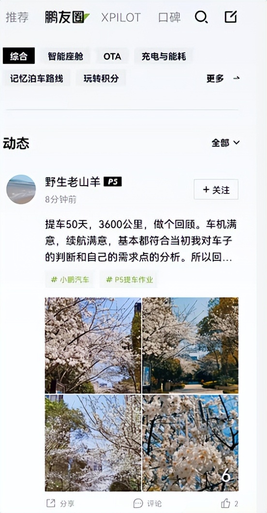 新能源汽车app横向对比