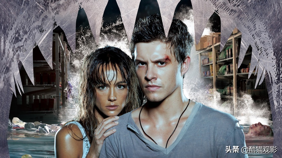 关于鲨鱼的电影有哪些好看的10部鲨鱼题材电影