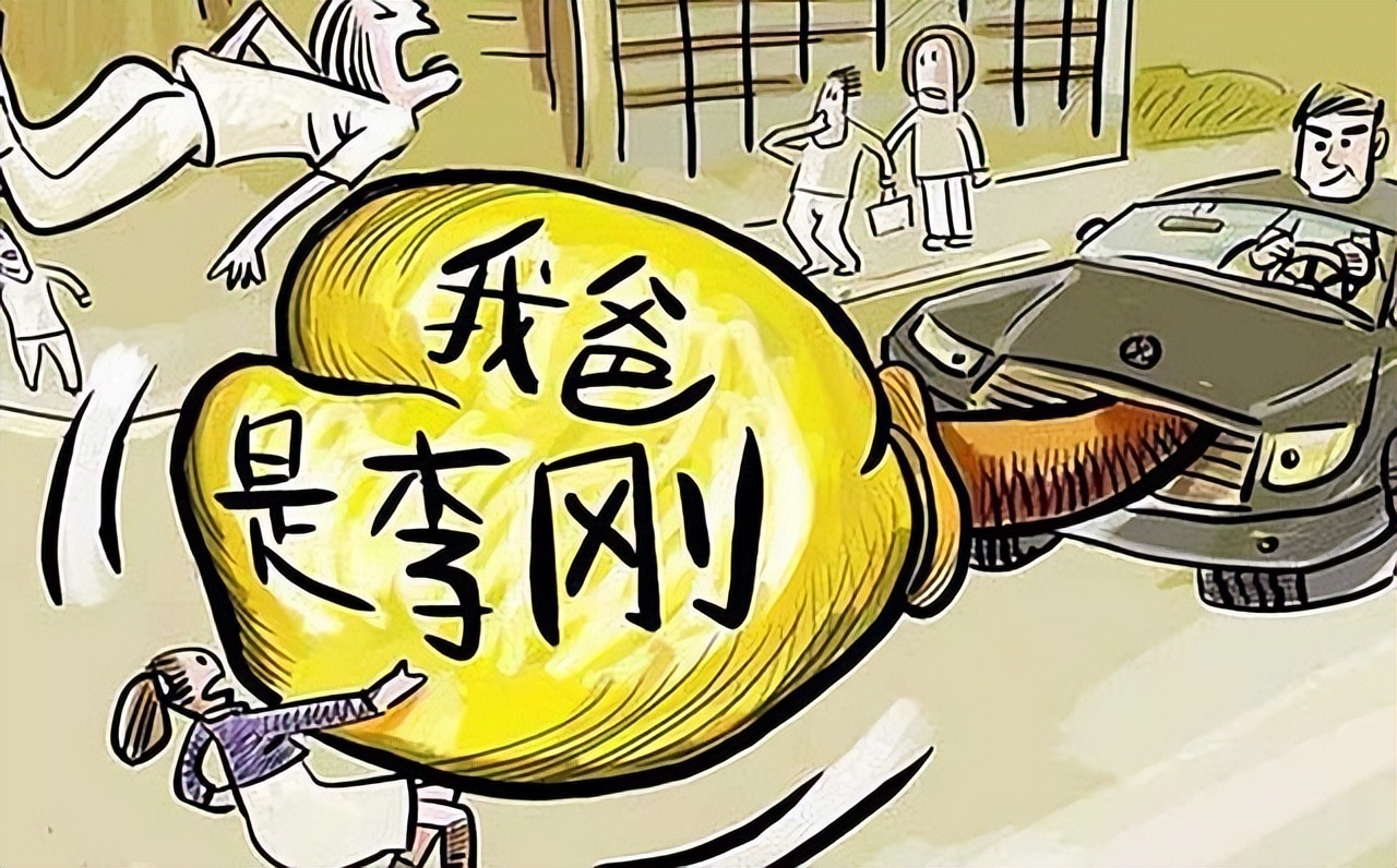 我爸是李刚结果（我爸是李刚）