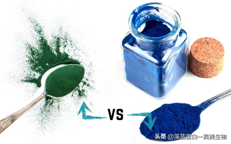 蓝色螺旋藻有更强抗氧化性，更适合保健，而绿色螺旋藻营养更全面。