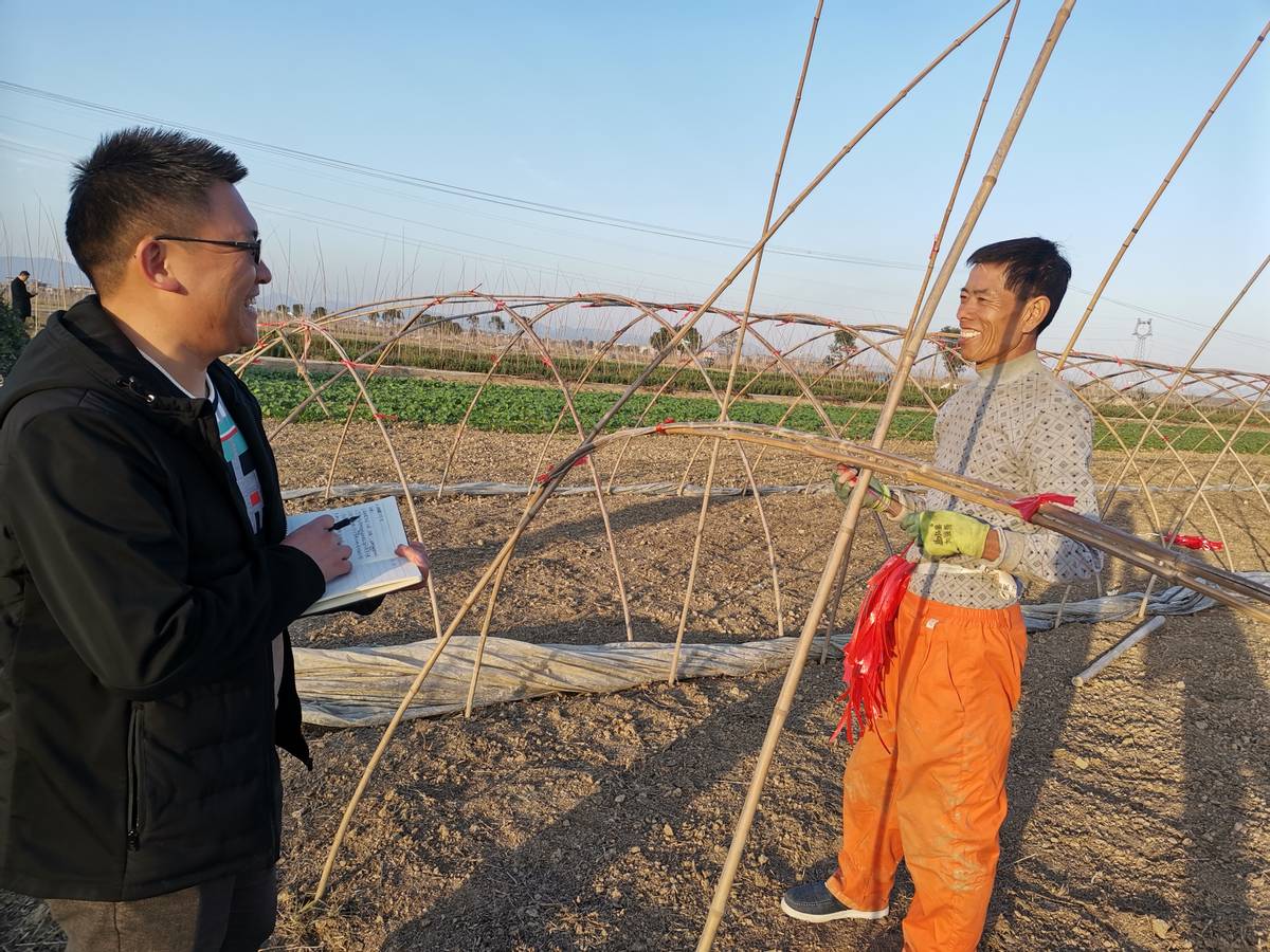 找到乡村振兴金钥匙 阳新县宝塔村把小湖蒿种出大产业