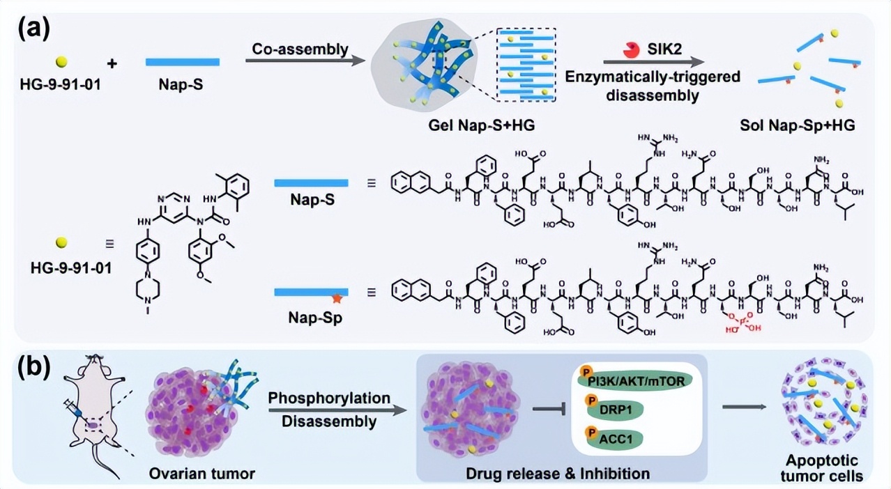 一文起底东南大学“火爆”学院！坐拥“全国第一”学科，本科生曾一作发Cell