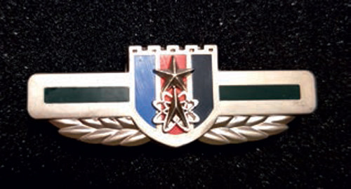 你没见过的红色徽章记忆