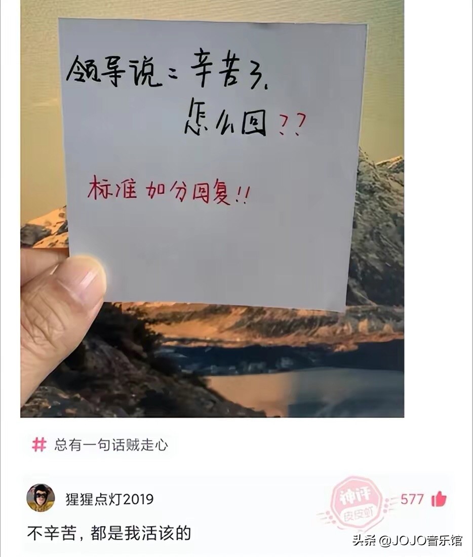 神回复：明星不拍戏的时候都在干什么