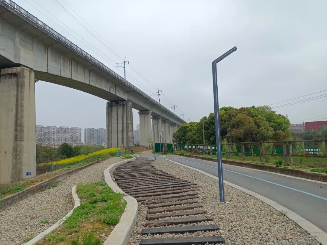 谁有手机拍的家乡春天美景(金义记录：春分，我在金义新区（金东）孝顺镇拍到的春天)