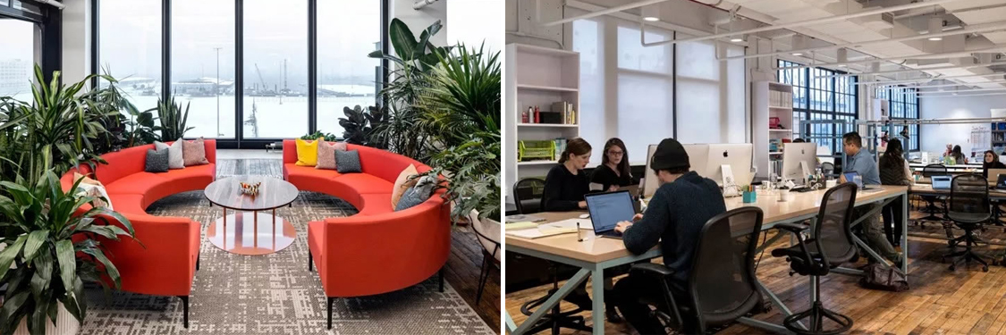 What If! Innovation是怎样做纽约办公室装潢设计的