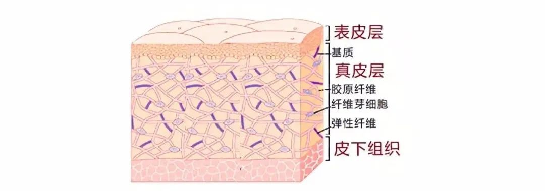 吴磊赵露思新剧“官宣”姐弟恋？可她的脸怎么悄悄变了…