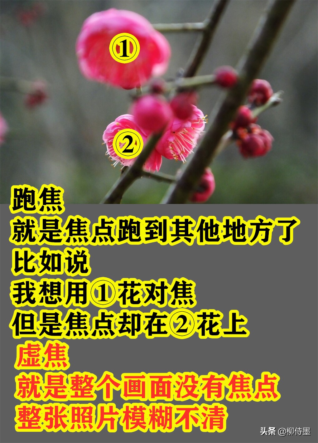 难怪照片不好看，这些拍照时的“坏习惯”，摄影新手经常犯