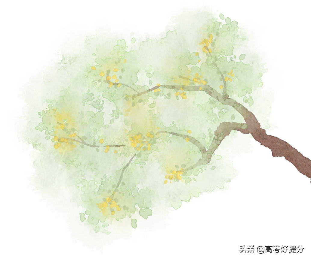 「走进生涯」学业规划到底是什么？