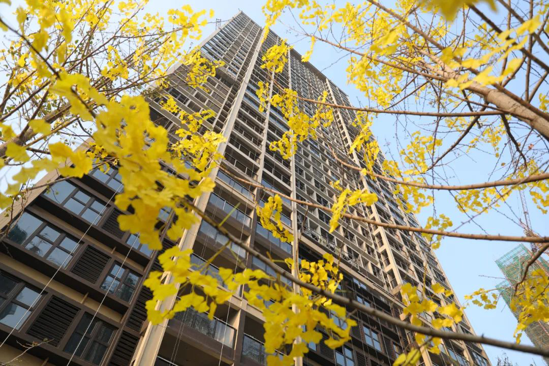 改善当道，揭秘五桥红盘热销背后的价值密码