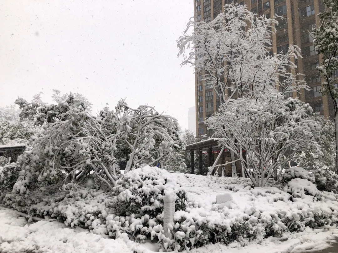 一场大雪一场欢，打雪仗、堆雪人，像小孩子一样激动兴奋