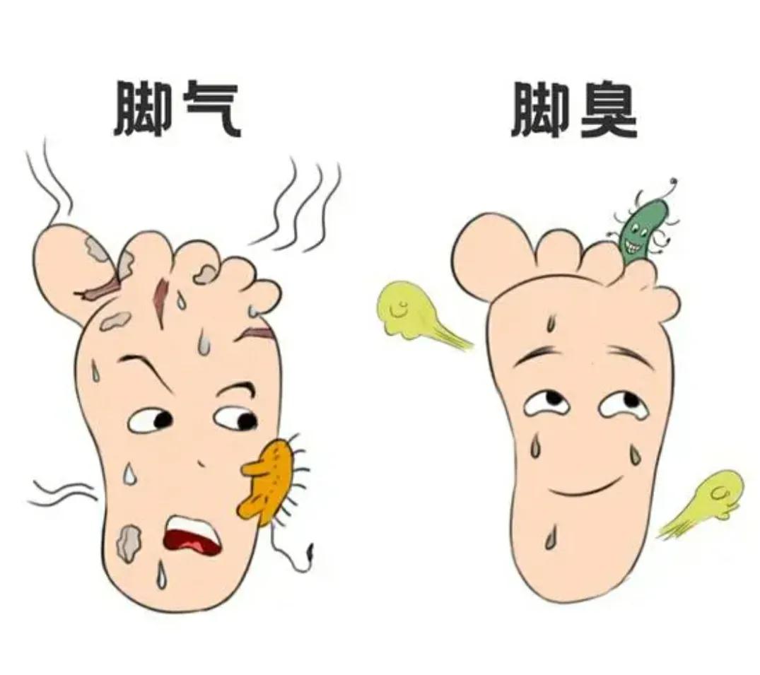 中药治脚气(中药治脚气5大处方帮你根治脚气) - 盾灵网