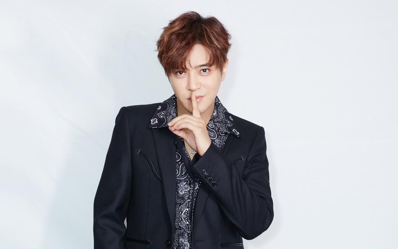 吻得酷爱太逼真 吻得太逼真歌词摘星怪-佳迪双