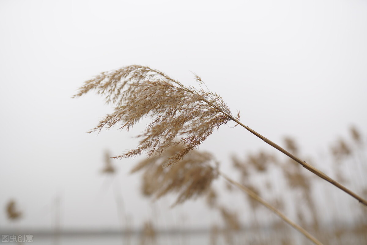 国足版周杰伦青花瓷(“天青色等烟雨”？蒿俊闵或因微又惹事)