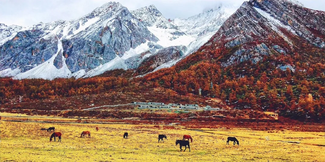 现成的旅行攻略和给力的景点半价(暑假旅行去哪玩)(图17) 抄作业了!现成的旅行攻略,给力的景点半价