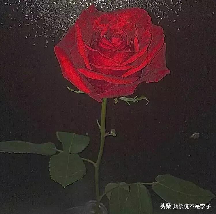 20条清醒又现实的句子