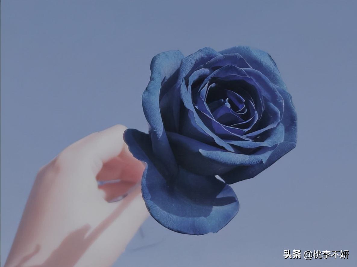 朋友圈屏蔽指南：如何优雅地隐藏不想被看到的内容