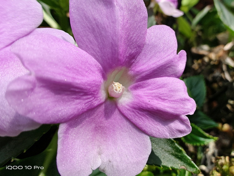 中端手机上的“凑数摄像头”，好日子要到头了？