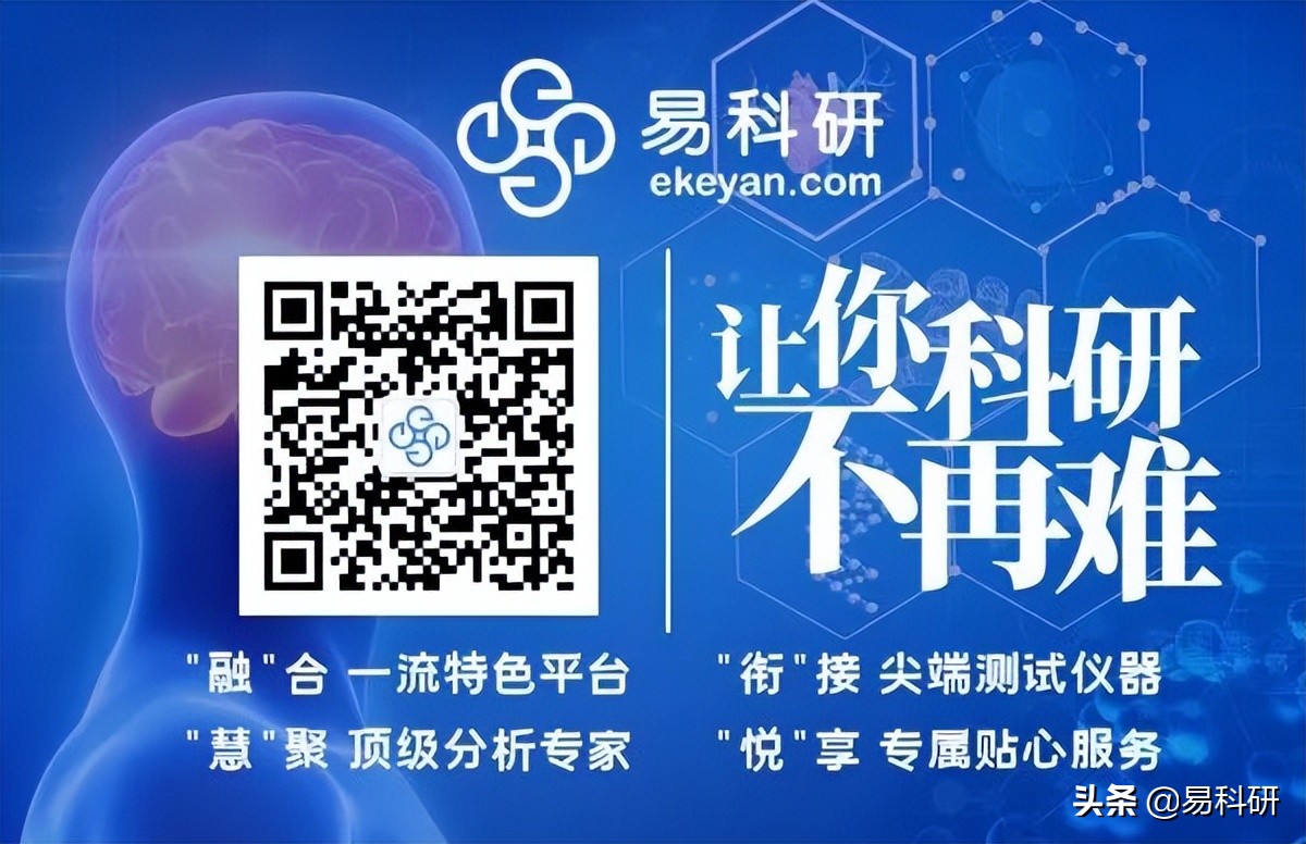 Nat. Catal. | 美国德克萨斯州休斯顿莱斯大学汪淏田研究成果