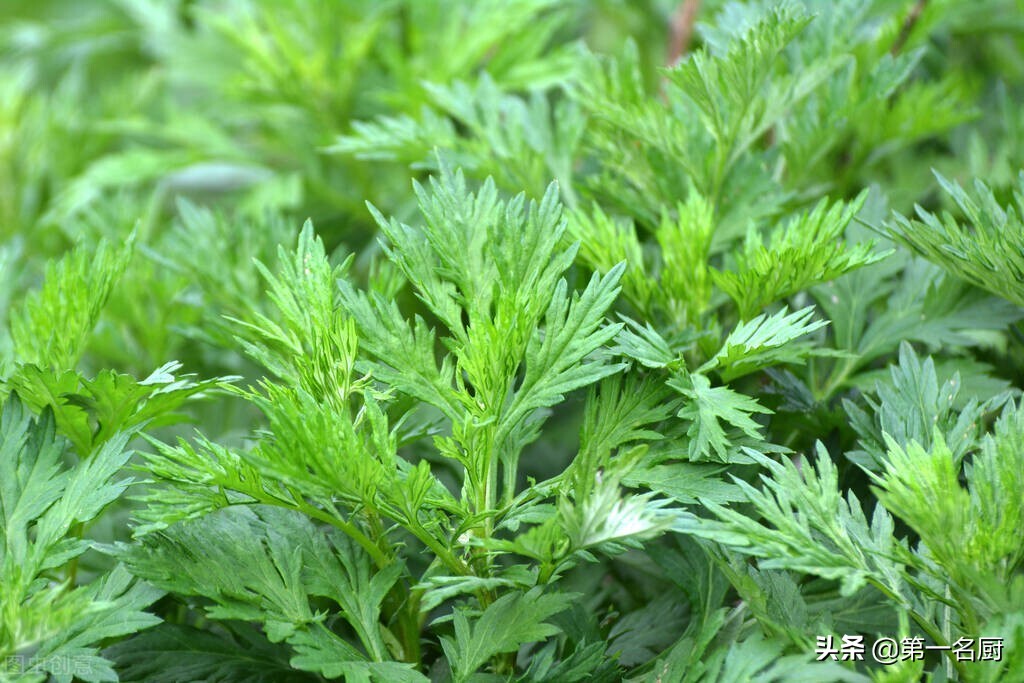 端午节艾草挂门口什么寓意？我来告诉你，很多人现在还不懂-第9张图片