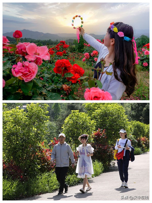 美爆了！汉山花溪谷繁花似锦.姹紫嫣红