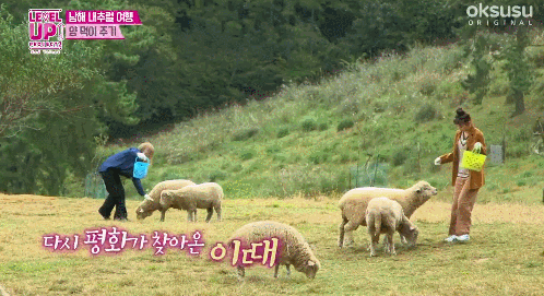 她没惹到任何人