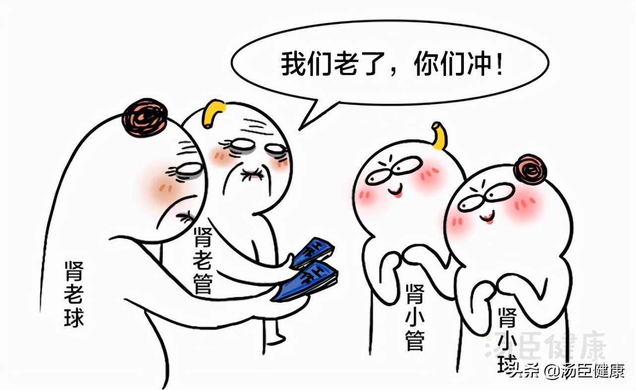 辟谣｜轻信这4个谣言，让多少人为「补肾」走了弯路