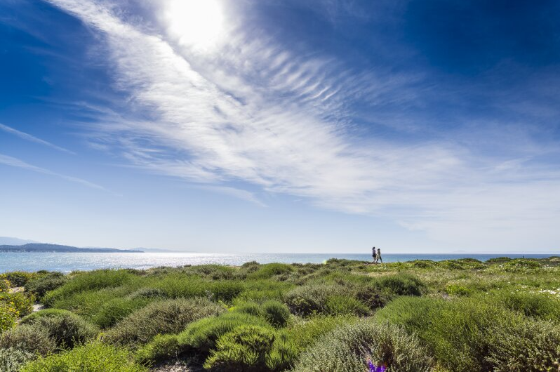 最新！2022年全美公立大学排名前十的院校有哪些