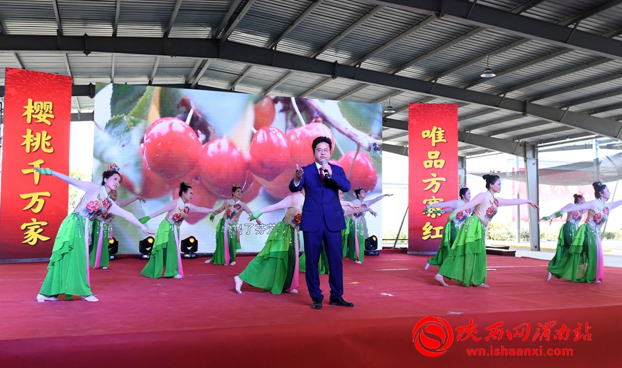 櫻桃千萬家 唯品方寨紅 合陽第五屆“方寨紅”櫻桃推介會舉辦（高清組圖）