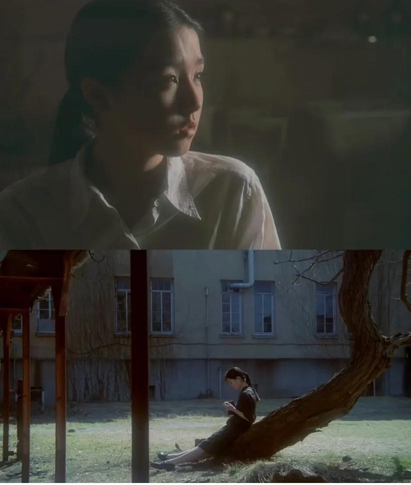 每日电影 燕尾蝶 如果人最终的归宿是天堂，我想这里就是天堂了