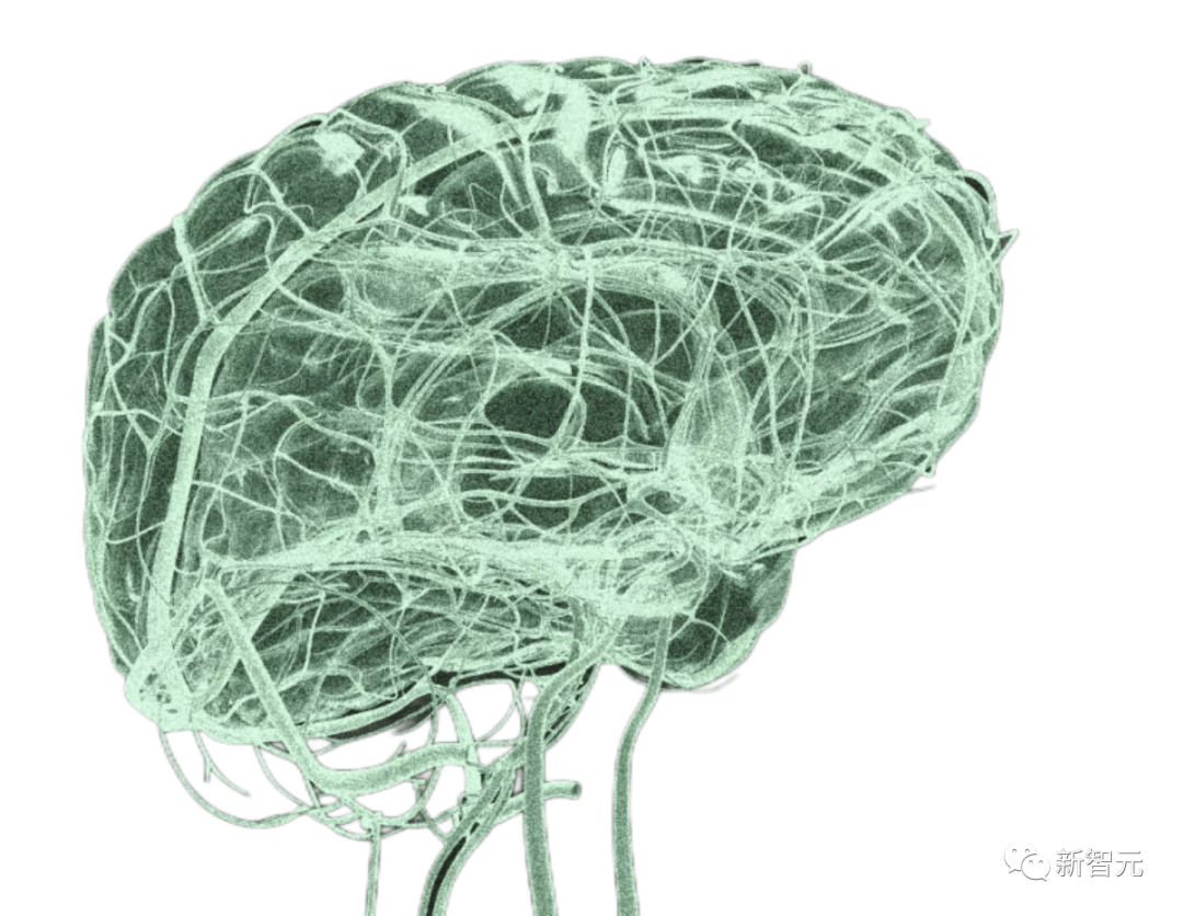 马斯克输麻了！美国首例脑机接口手术竟不是Neuralink做的