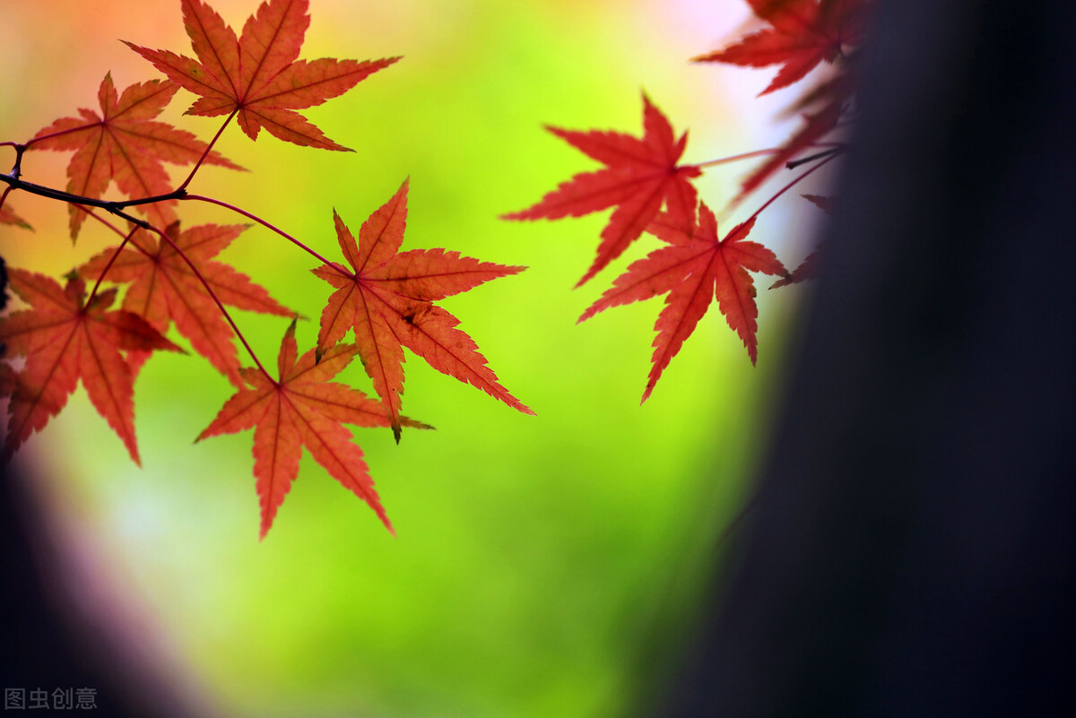 Facebook创始人马克·扎克伯格演讲实录