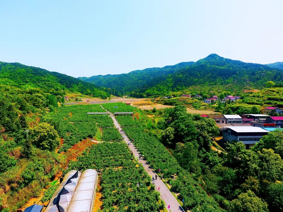 蕲春县漕河镇 湖北省蕲春县漕河镇-思宇生活