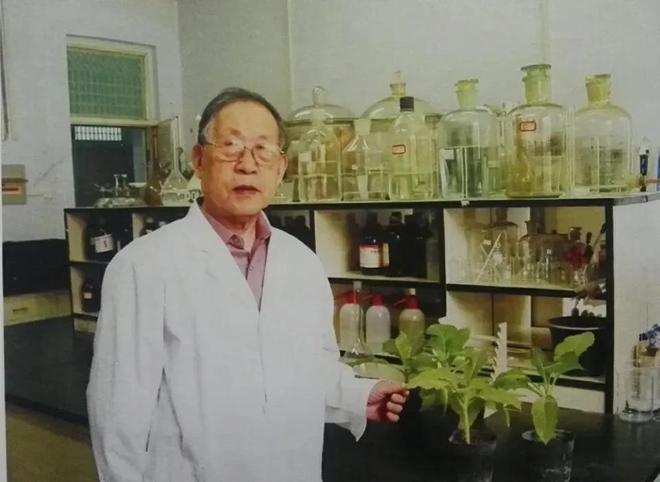 百廿农大•烟草记忆｜刘国顺：礼赞我校烟草学科奠基人韩锦峰教授