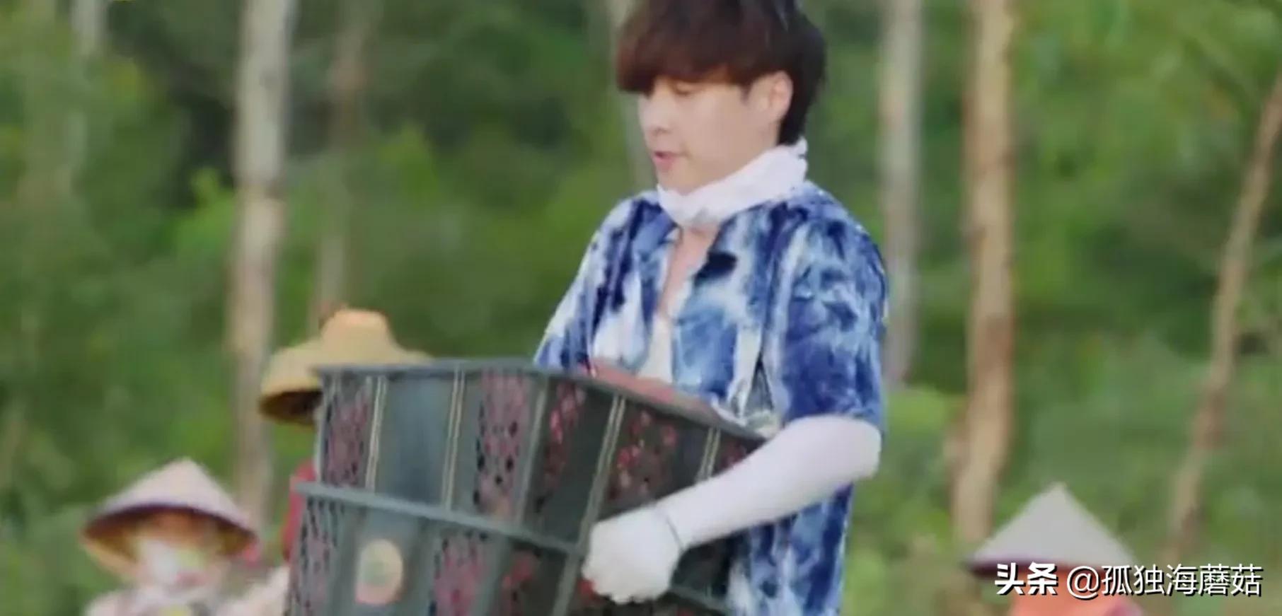 适合的嘉宾、适合的剪辑节奏，这可能是最好的一期《向往的生活》