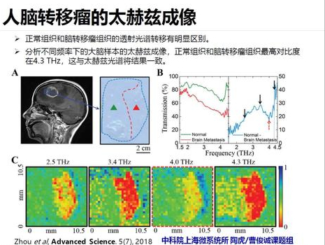 我国6G技术创世界纪录！日本押宝试验性6G网络想超车，有戏吗？