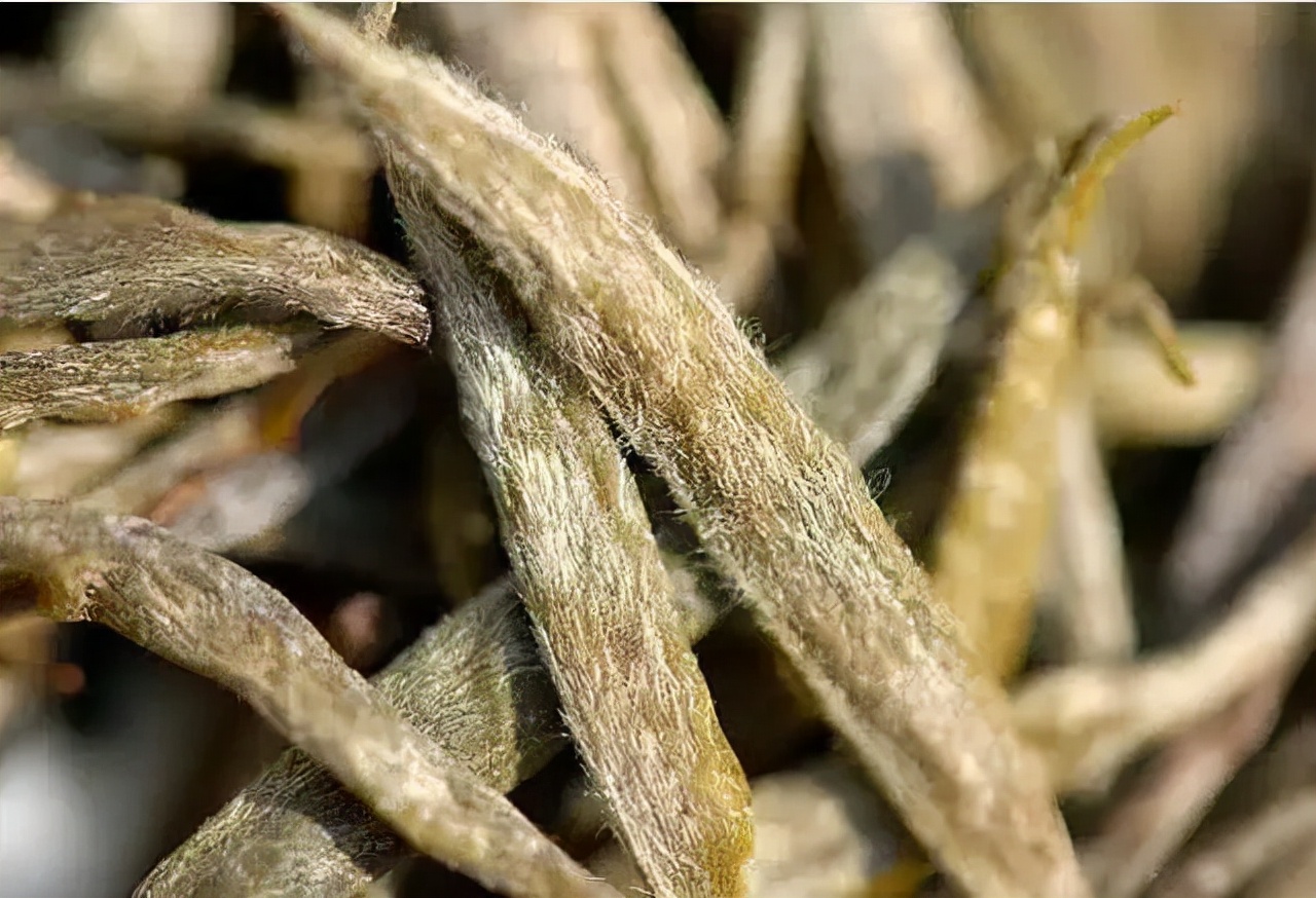 买茶看产区，中国十大名茶核心产区盘点