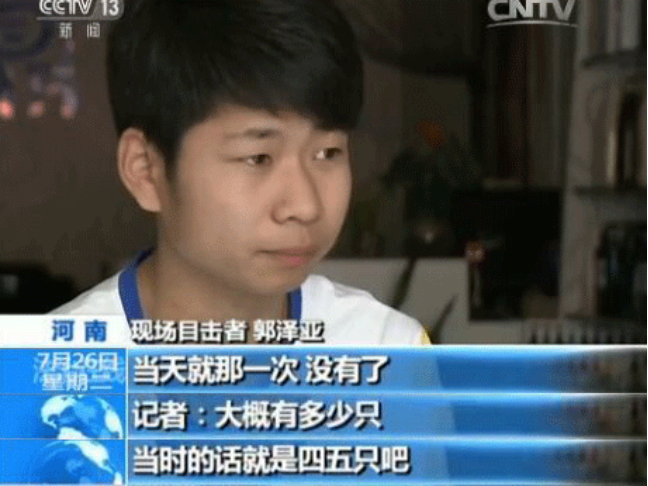 2014年，河南大学生抓16只鸟被判10年，其父喊冤：他只是个孩子