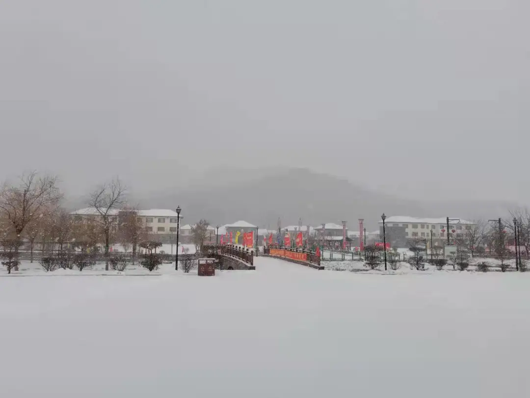 日暮苍山远，白雪落田园，去乡间寻找幸福感！