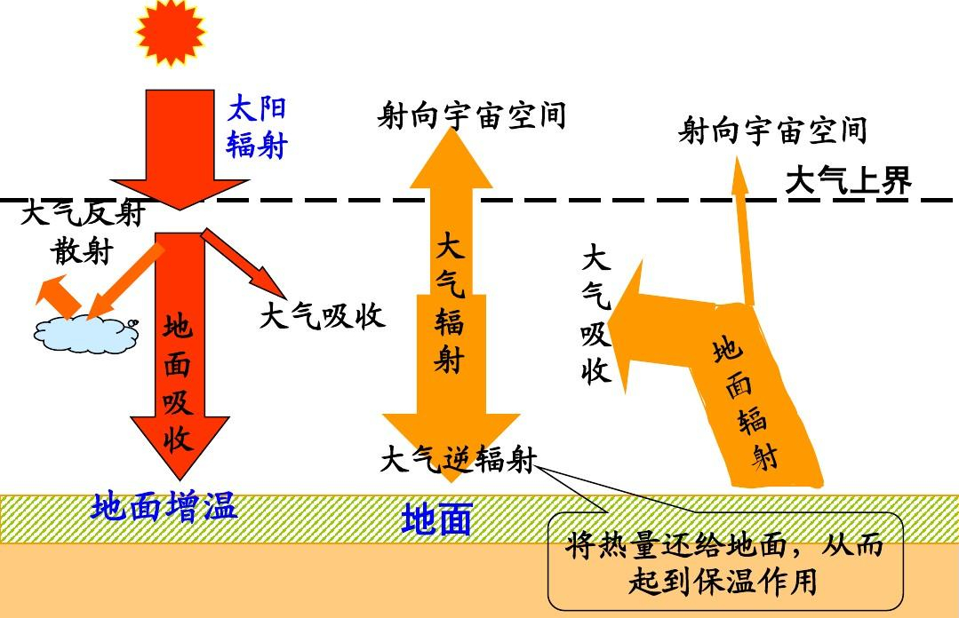 地表温度超过70摄氏度是什么概念？蚂蚁不是被烫死，就是被烤熟