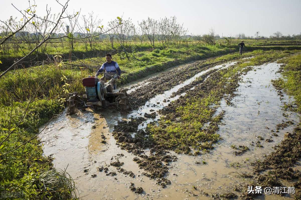 农用柴油补贴标准是多少？比上年有所增加
