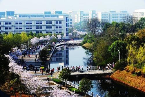 四座省会城市四所低分也可以报考的院校，艺术类录取需要多少分？