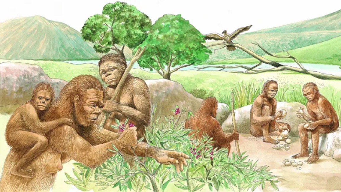 人类十二个种族(10万年前，地球至少还有6种人类，为何最后只剩下我们？)