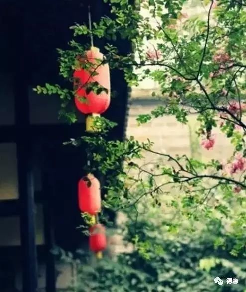 ​哲理诗词：人生如逆旅，我亦是行人 2022，待一季花开，等一人归来