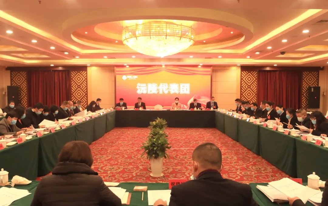 各代表团分组审议政府工作报告