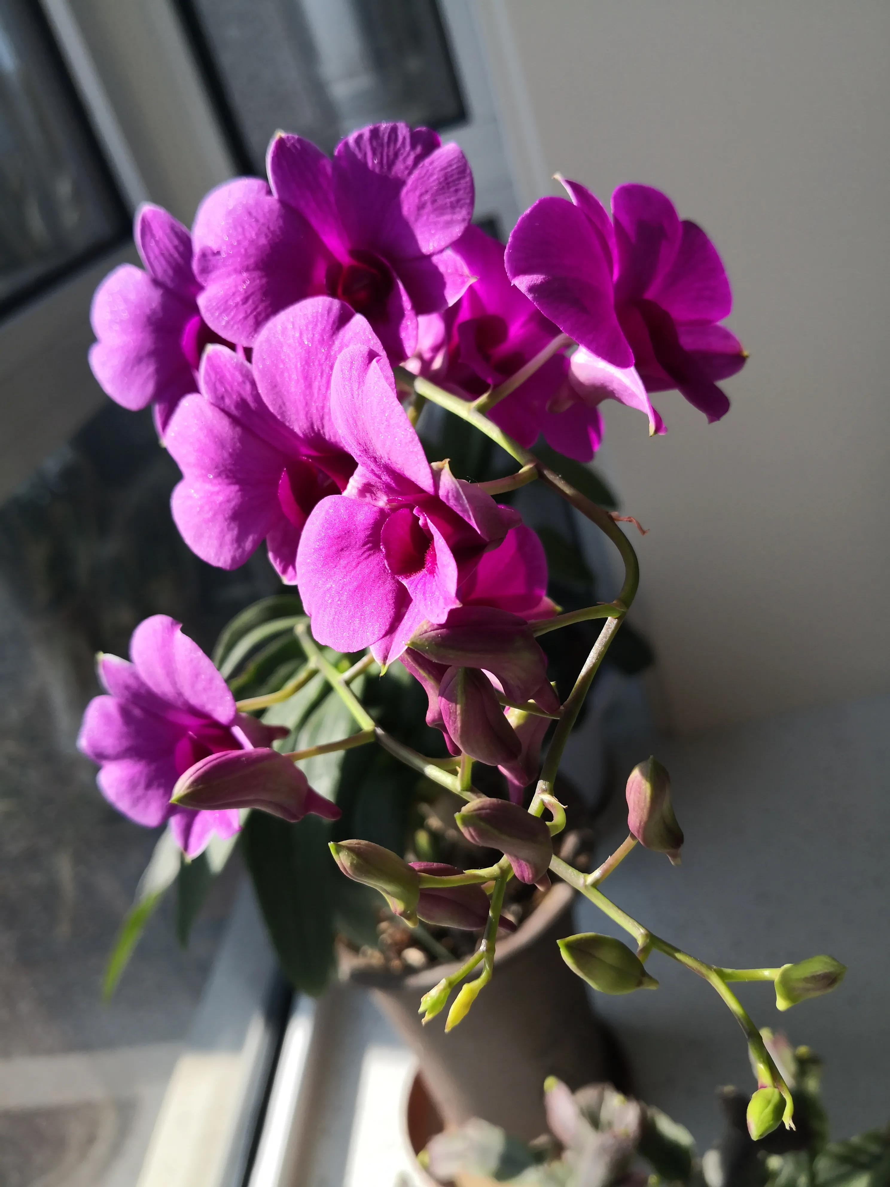 足球的2-6-7关是什么意思（中国足球内幕-6）-趣拿体育