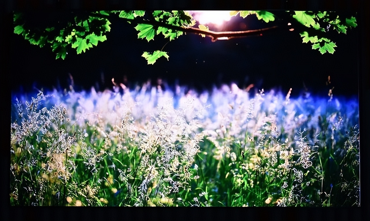 更大屏，更健康：海信80L9H激光电视开启“新视代”