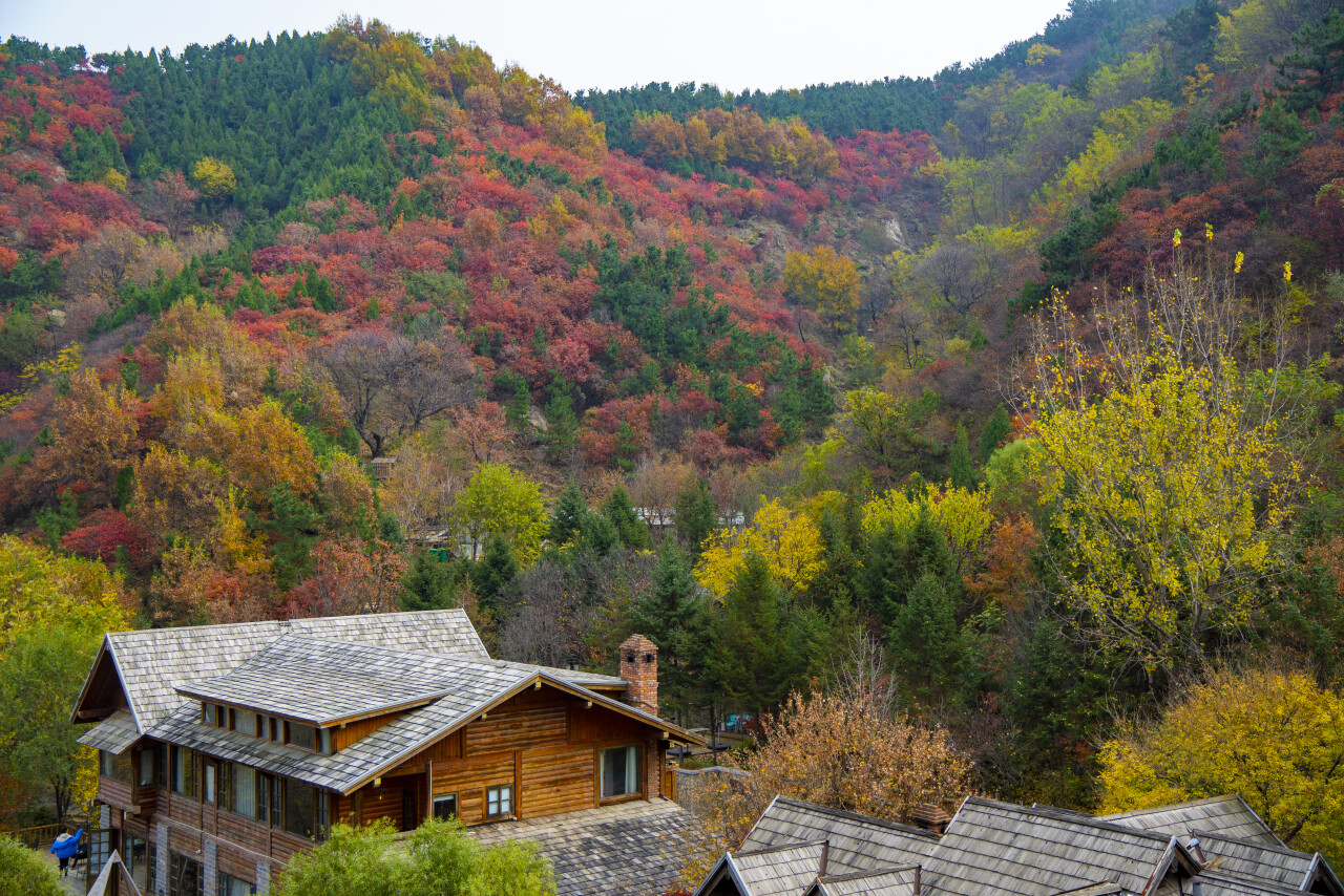 济南有哪些旅游景点（山东济南有哪些旅游景点）-第26张图片-科灵网