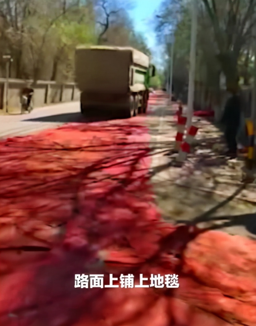 劉振營：2021年農(nóng)機行業(yè)熱詞