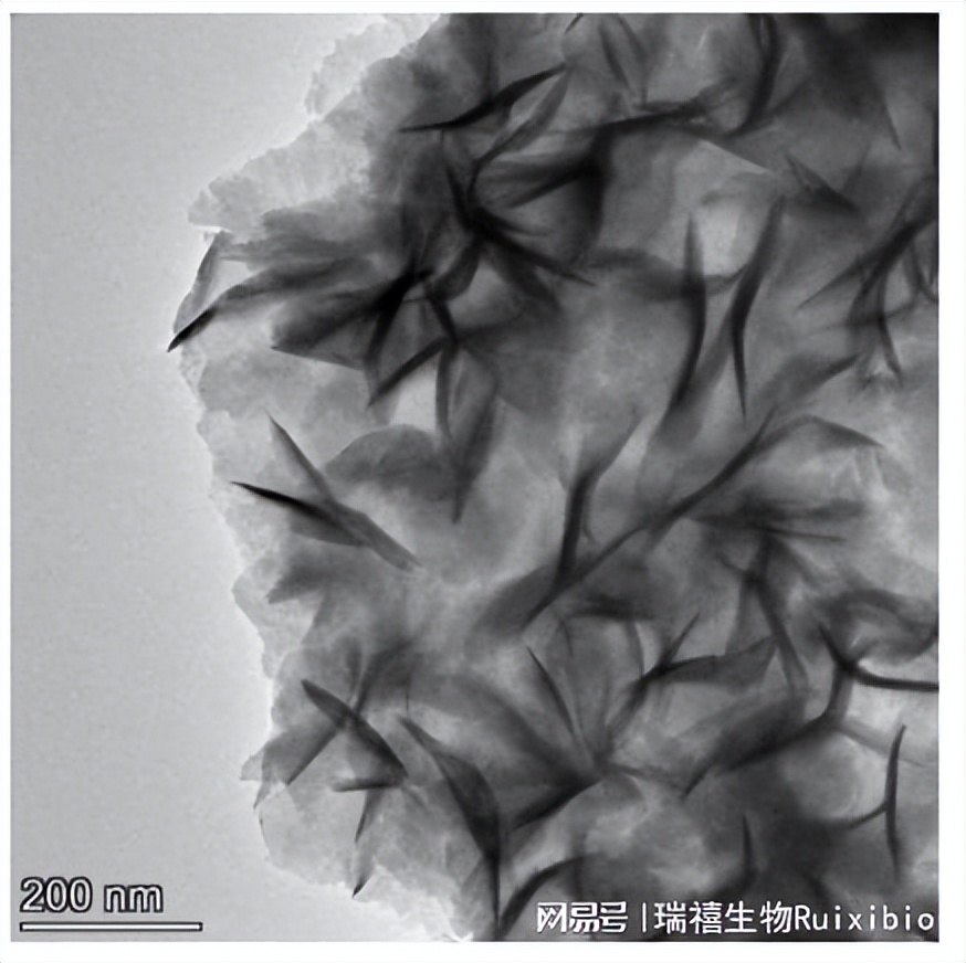 硒离子/铂离子/钯离子掺杂二硒化钨